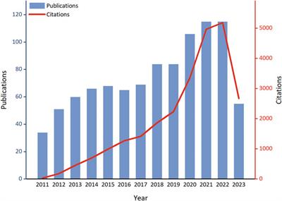 Global research progress of endothelial cells and ALI/ARDS: a bibliometric analysis